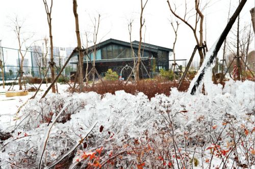 一場雪，體育中心美得不要不要的</br>但最美的風(fēng)景還是他們(圖2)