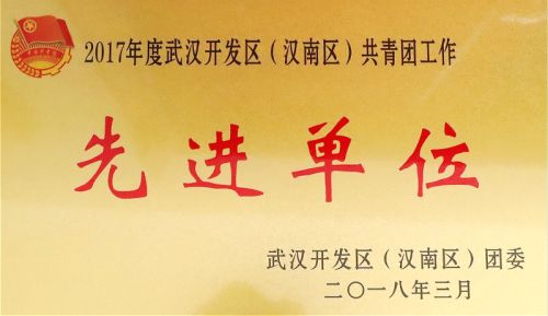 武漢體育中心團委榮獲團區委表彰(圖3)