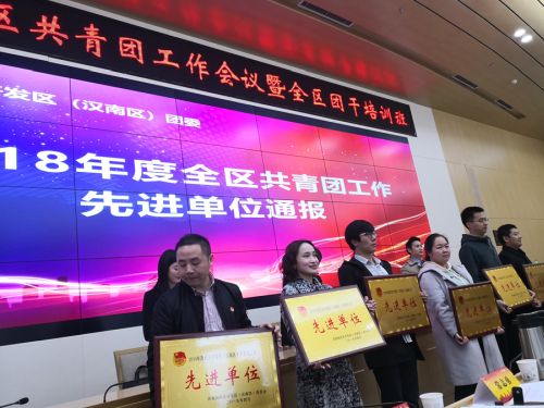 全區共青團工作會議召開  武漢體育中心獲得“共青團工作先進單位”稱號(圖2)