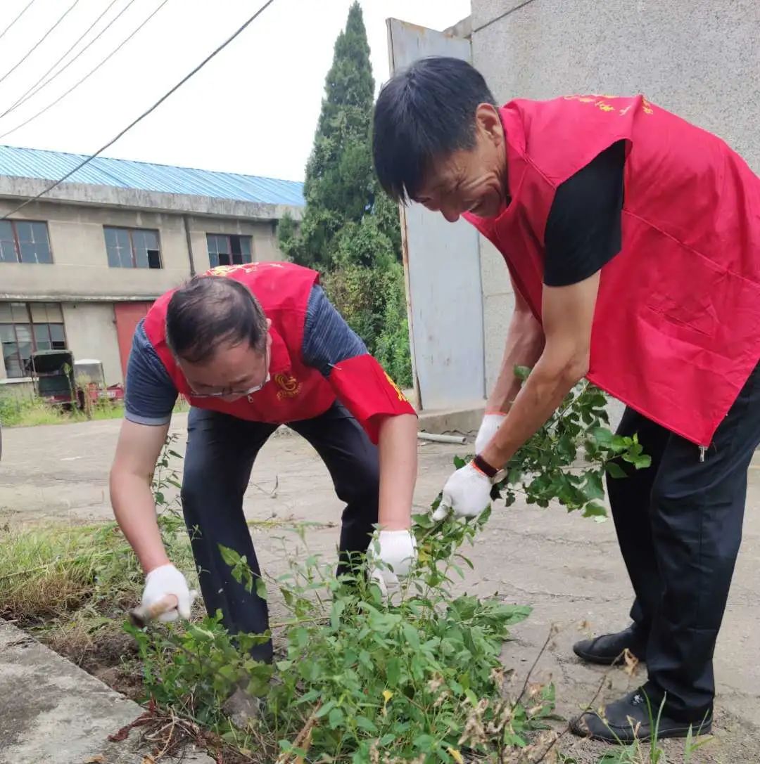 公司黨員下沉社區開展志愿服務(圖5)
